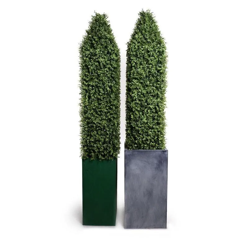 Boxwood Obelisk in Column Planter 84"H