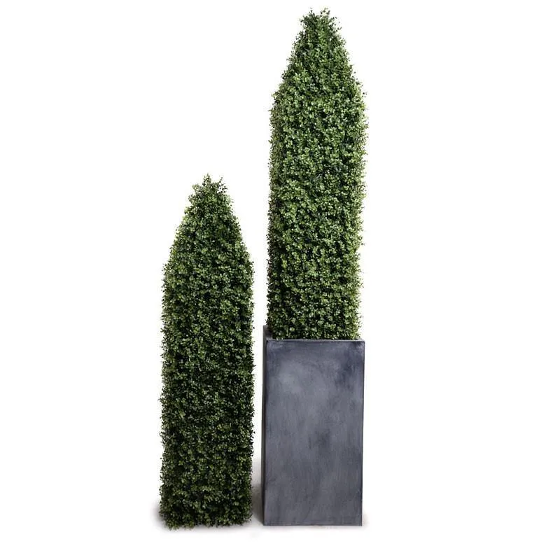 Boxwood Obelisk in Column Planter 84"H