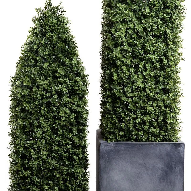 Boxwood Obelisk in Column Planter 84"H