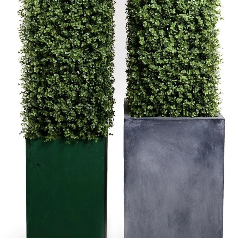 Boxwood Obelisk in Column Planter 84"H