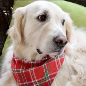 Holly Jolly Flannel Dog Bandana Christmas Plaid | Personalized with Pets Name